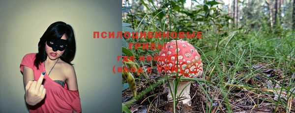 мефедрон мука Медвежьегорск