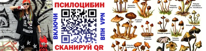 Галлюциногенные грибы Psilocybine cubensis  Купить  Бугуруслан 